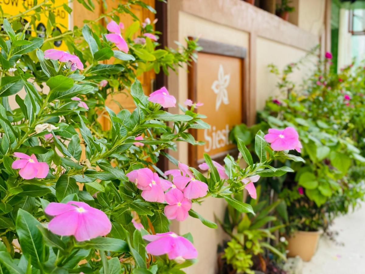 Siesta Beach Hotel Maafushi Luaran gambar
